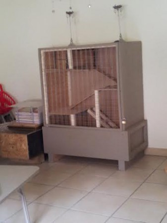 cage de Lila,Jade et Neige